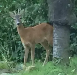 Bellissimo Rustico A 7 Km Dal D'orta 度假居 *